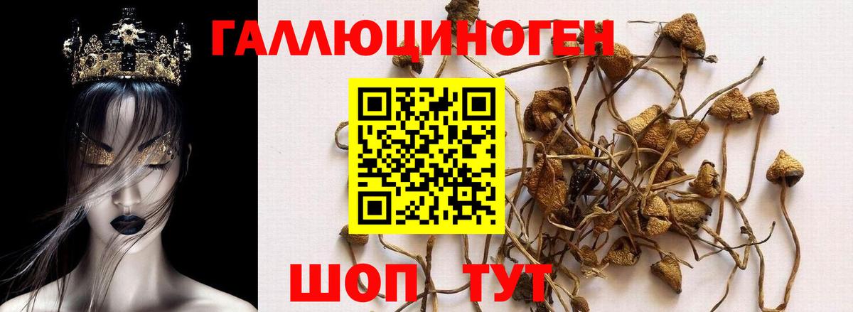 Люберцы  Галлюциногенные грибы Psilocybe  Вход с VPN  Псилоцибиновые грибы ЛСД 